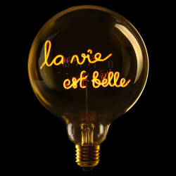 Ampoule "La vie est belle" – Message In The Bulb – LED ambrée – E27 | Comptoir Elec & Design