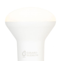 Spot R50 LED 6W E14 Opaline