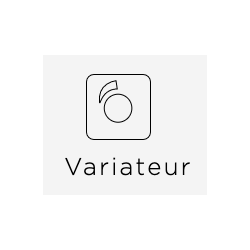 Variateur universel avec bouton finition doré Collection 1950