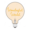 Ampoule Wonderful World – Message In The Bulb – LED ambrée – Finition ambrée – À poser