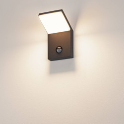 ORDI SENSOR – Applique extérieure LED avec détecteur, anthracite