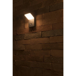ORDI SENSOR – Applique extérieure LED avec détecteur, anthracite