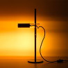 Lampe THPG en laiton – orientable sans articulation