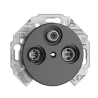 Prise RJ45 double Cat.6a THPG – Porcelaine noire 10G