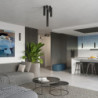 Plafonnier KARBON 40 Noir Sollux | Luminaire Tubulaire GU10 Design