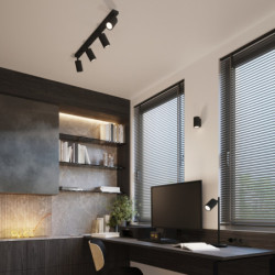 Plafonnier KARBON 4L noir