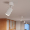 Plafonnier KARBON 1 Blanc Sollux | Spot Plafond Design GU10