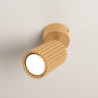 Plafonnier KARBON 1 Doré Sollux | Spot Plafond Design GU10