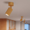 Plafonnier KARBON 1 Doré Sollux | Spot Plafond Design GU10