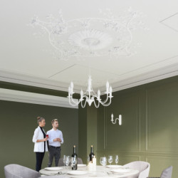 Applique MINERWA en acier blanc