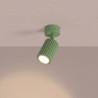 Plafonnier KARBON 1 Sauge Sollux | Spot GU10 Design