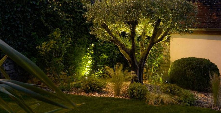 Vue extérieur d'un jardin arboré de nuit